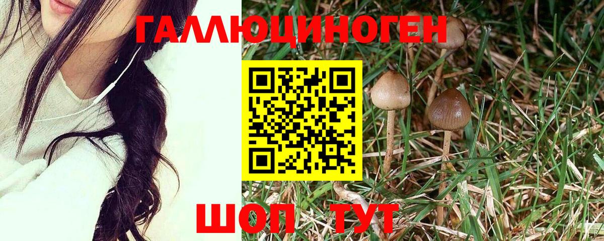 Галлюциногенные грибы мицелий Элиста