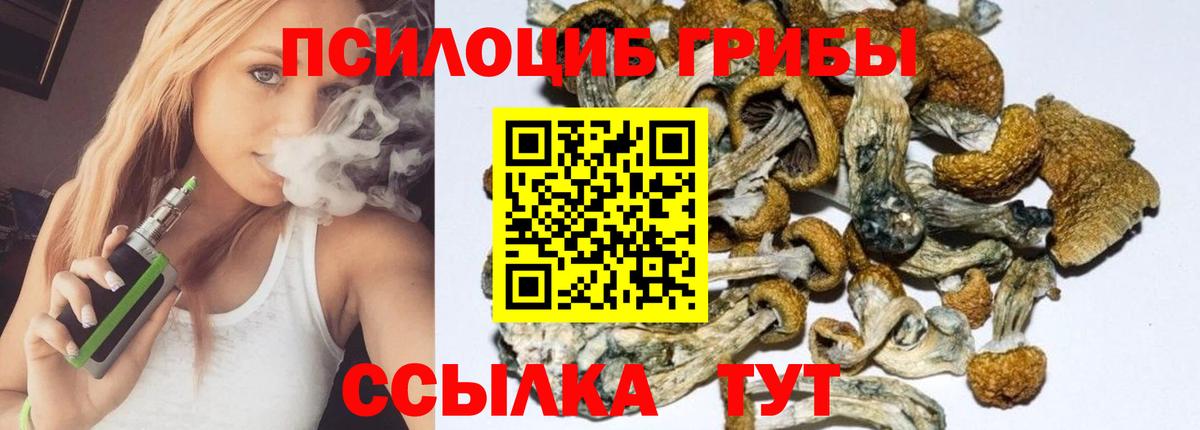 Галлюциногенные грибы мухоморы  Галлюциногенные грибы мицелий  Вход с VPN  Элиста 